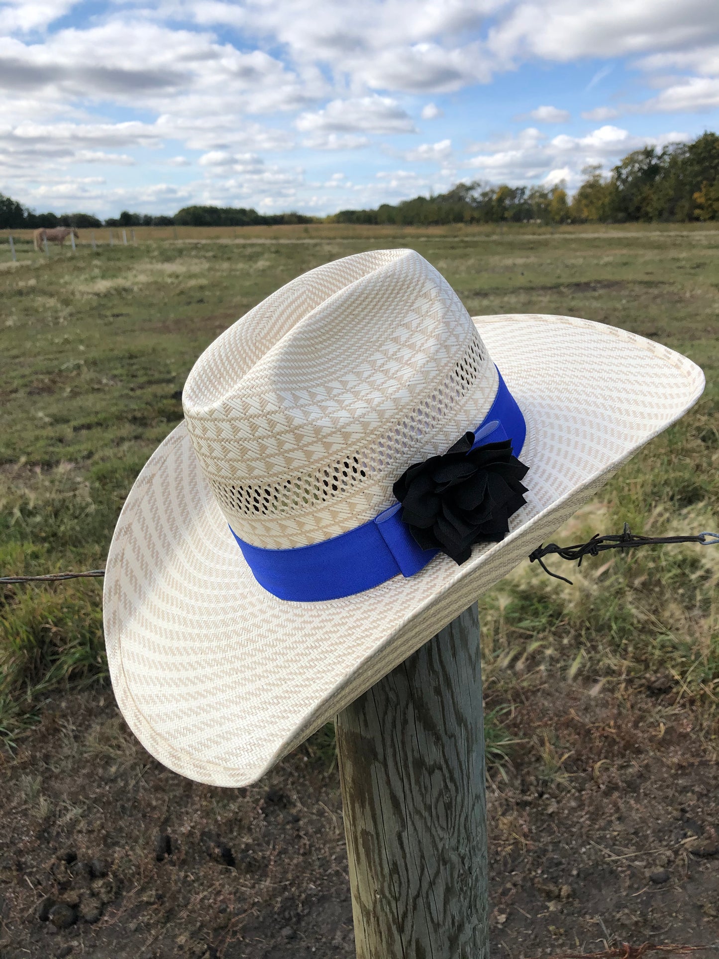 Sapphire Blue Hat band Collection